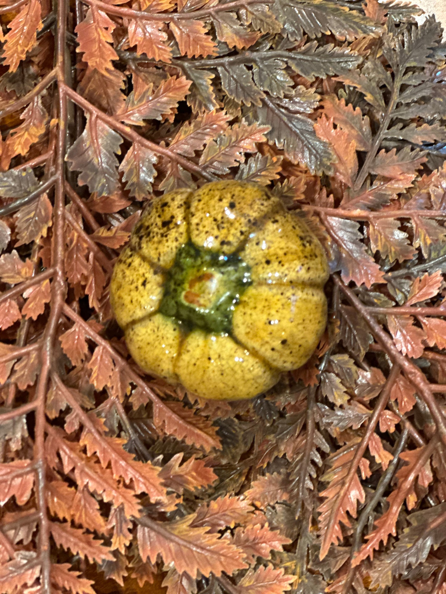 Shooner Pumpkins Fall