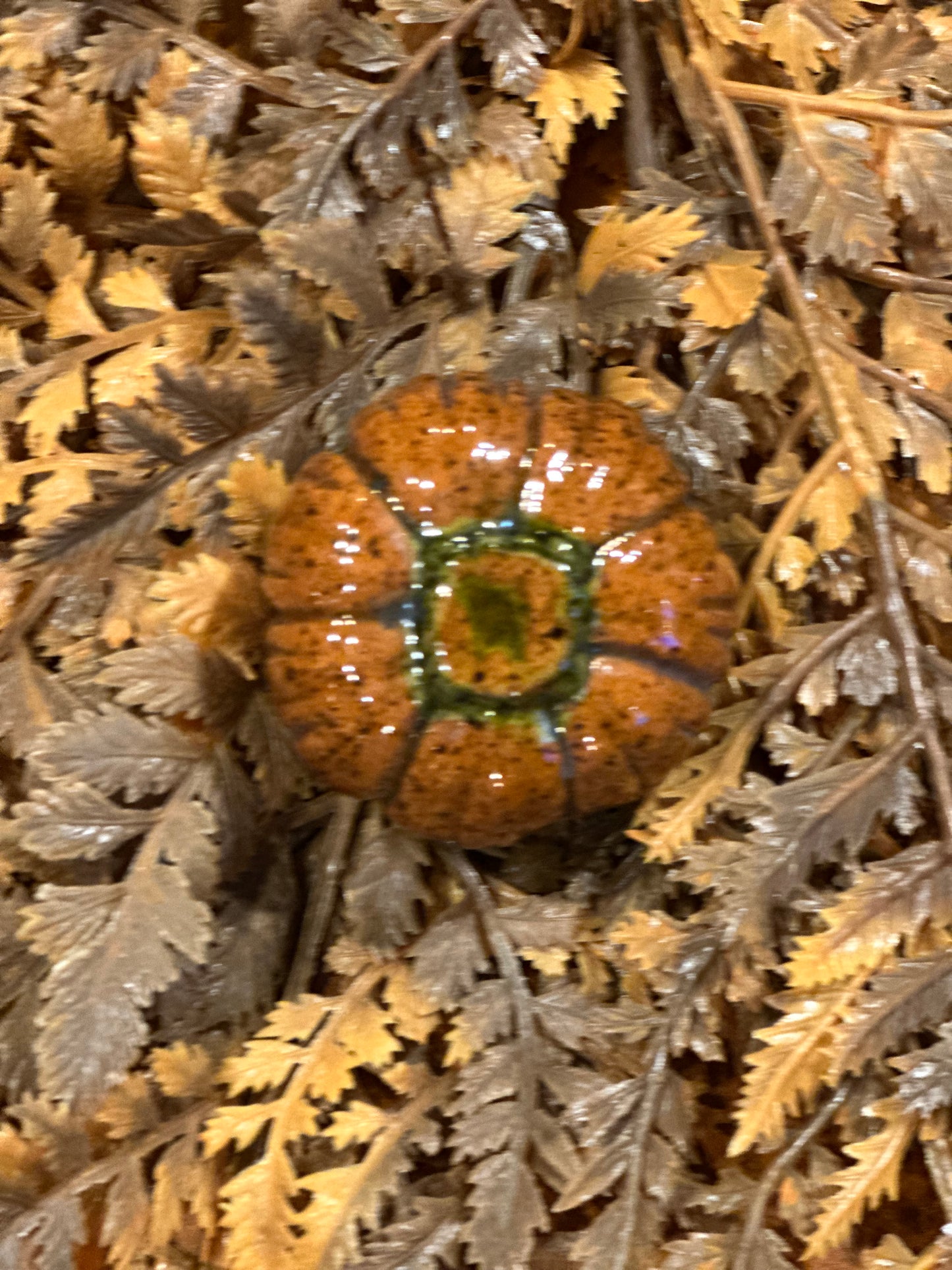 Shooner Pumpkins Fall