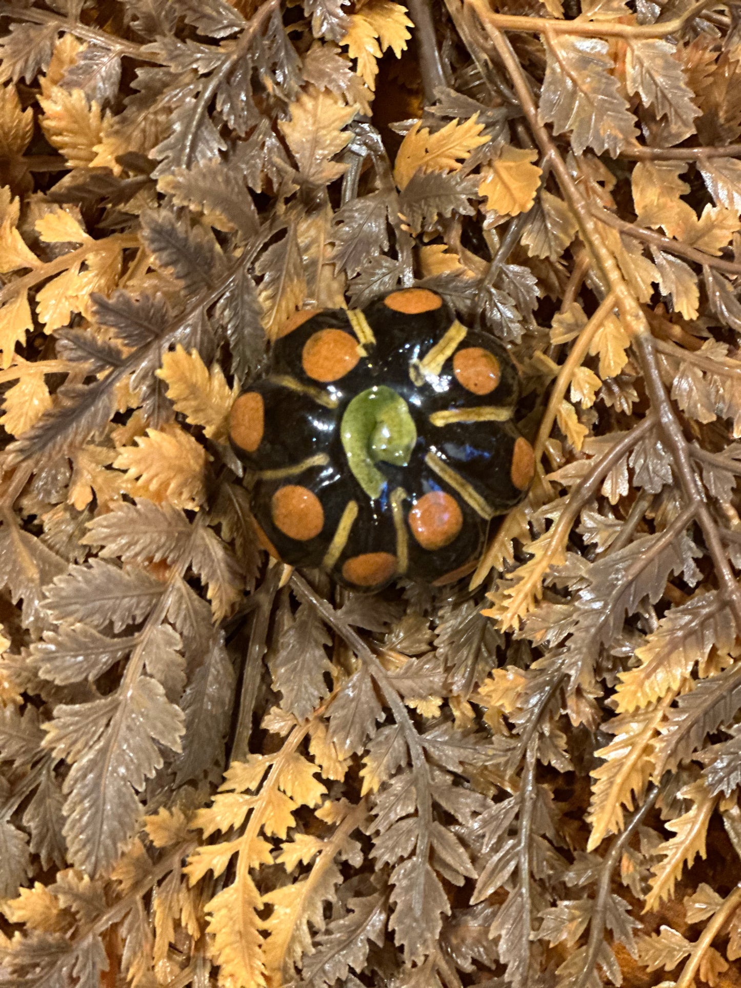 Shooner Pumpkins Fall