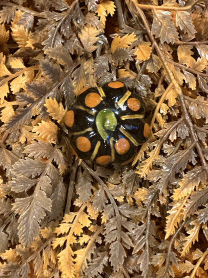 Shooner Pumpkins Fall