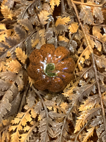 Shooner Pumpkins Fall
