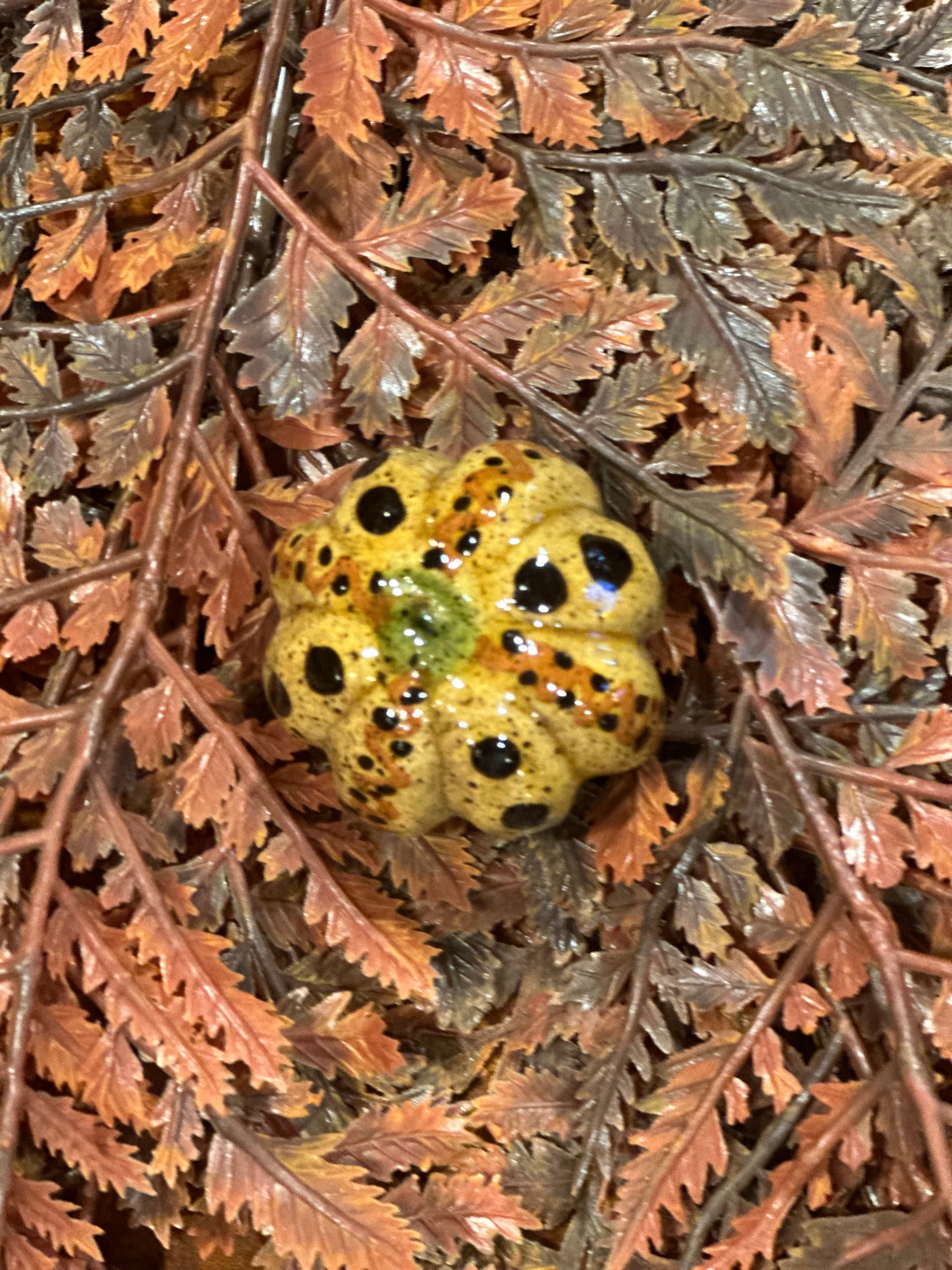Shooner Pumpkins Fall
