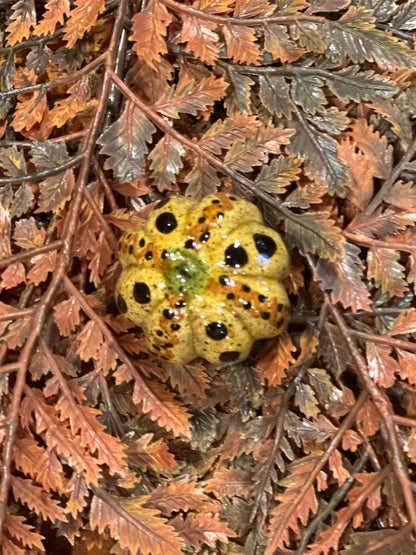 Shooner Pumpkins Fall