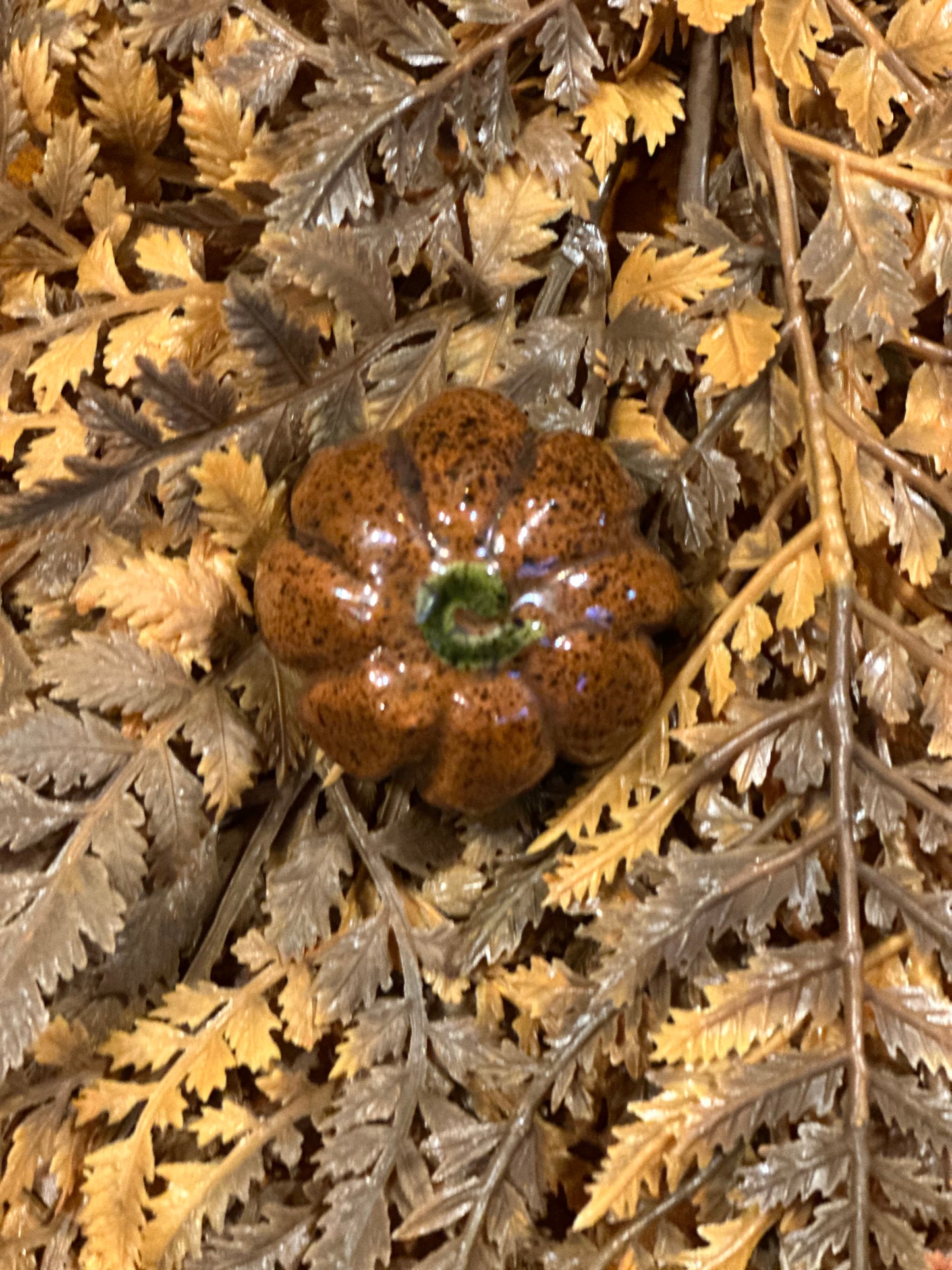 Shooner Pumpkins Fall