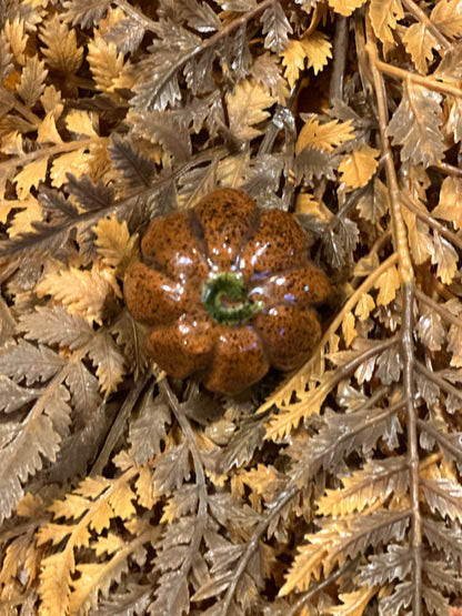 Shooner Pumpkins Fall