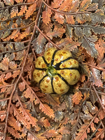 Shooner Pumpkins Fall