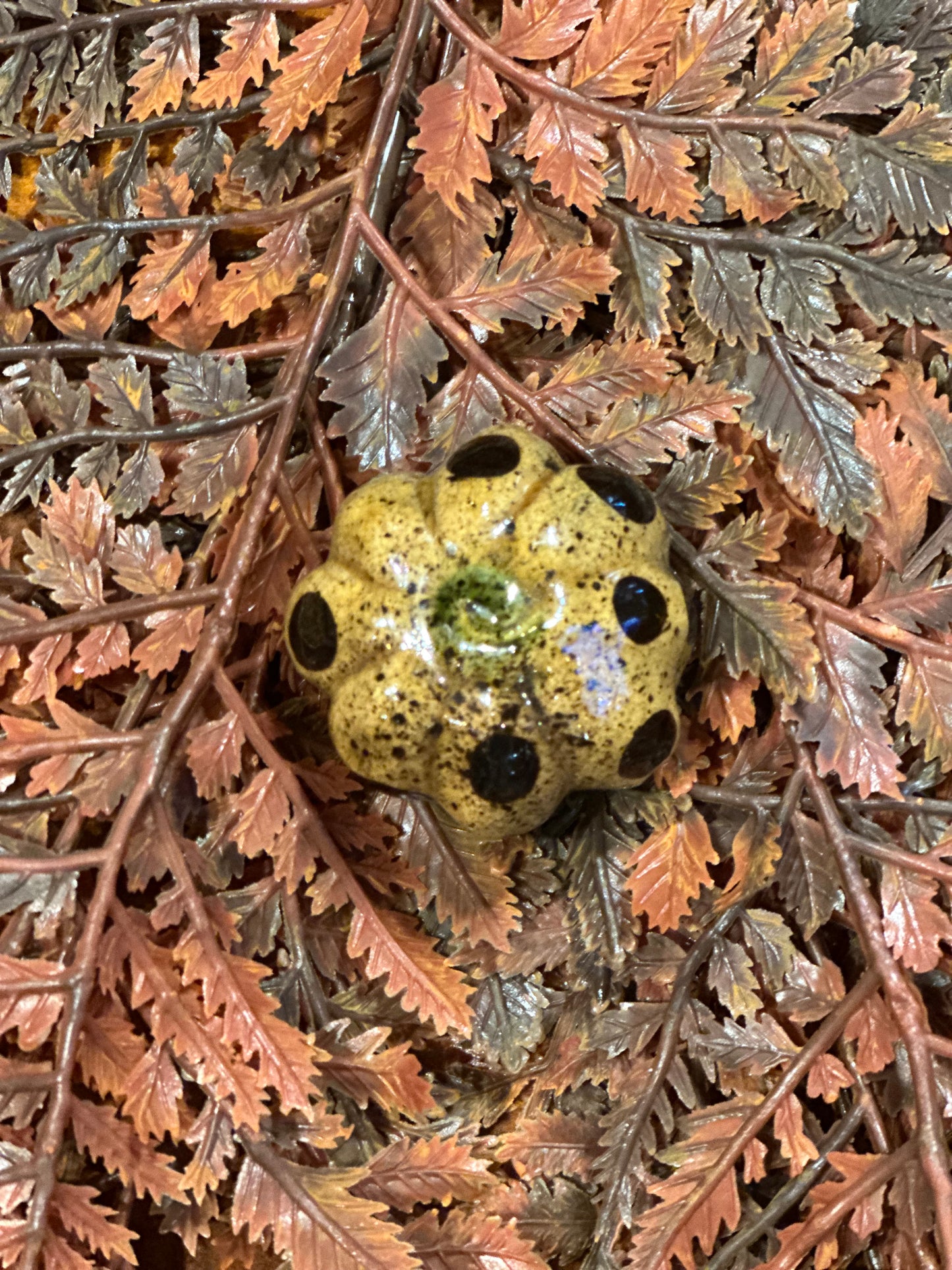 Shooner Pumpkins Fall