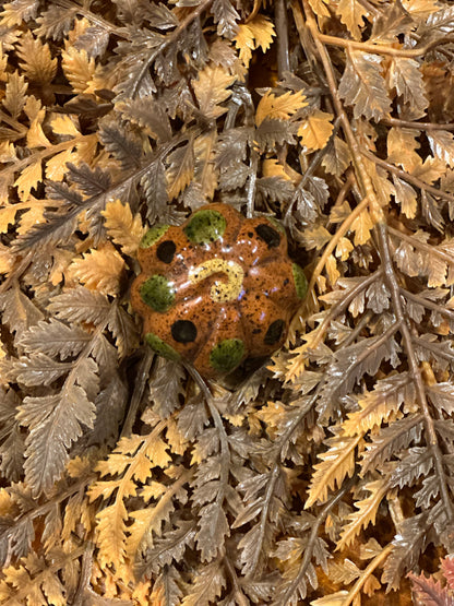 Shooner Pumpkins Fall