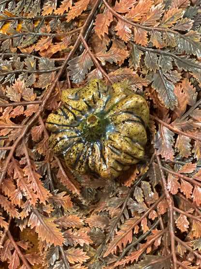 Shooner Pumpkins Fall