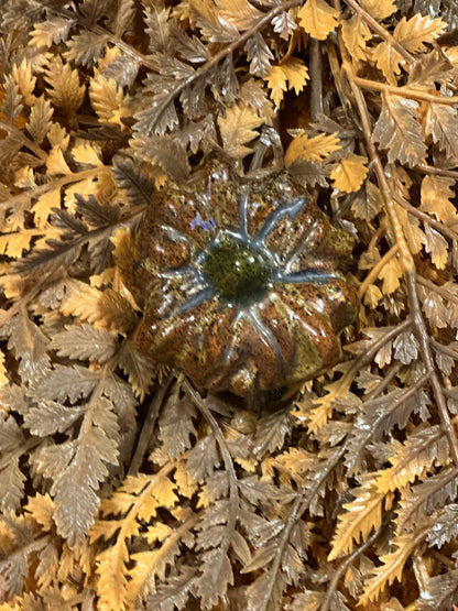 Shooner Pumpkins Fall