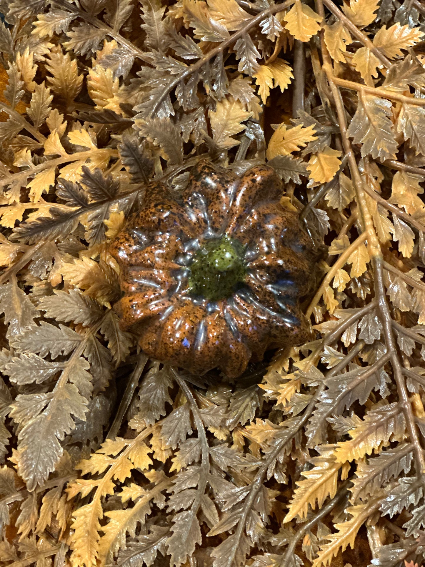 Shooner Pumpkins Fall