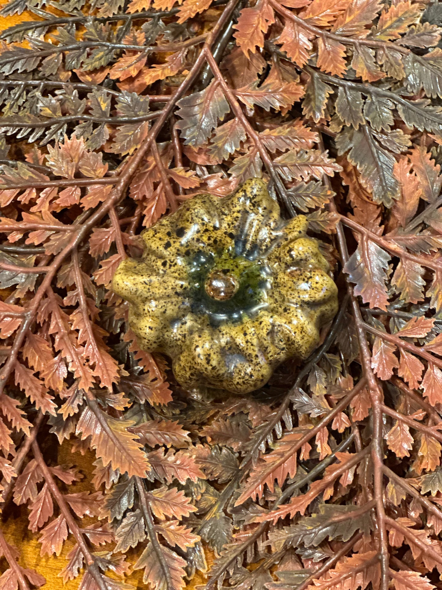 Shooner Pumpkins Fall