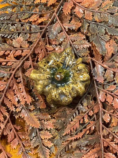 Shooner Pumpkins Fall