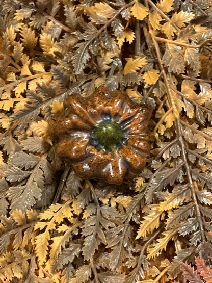 Shooner Pumpkins Fall