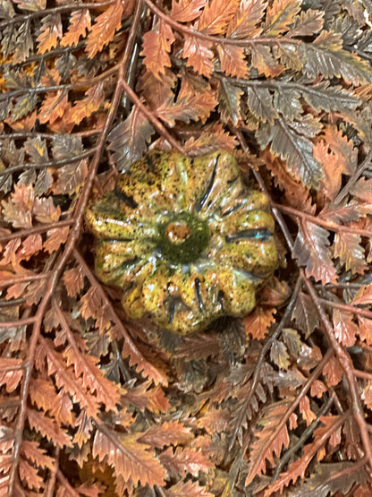 Shooner Pumpkins Fall