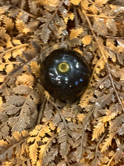 Shooner Pumpkins Fall