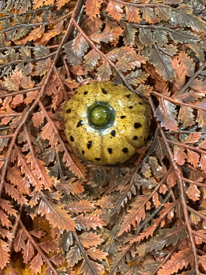 Shooner Pumpkins Fall