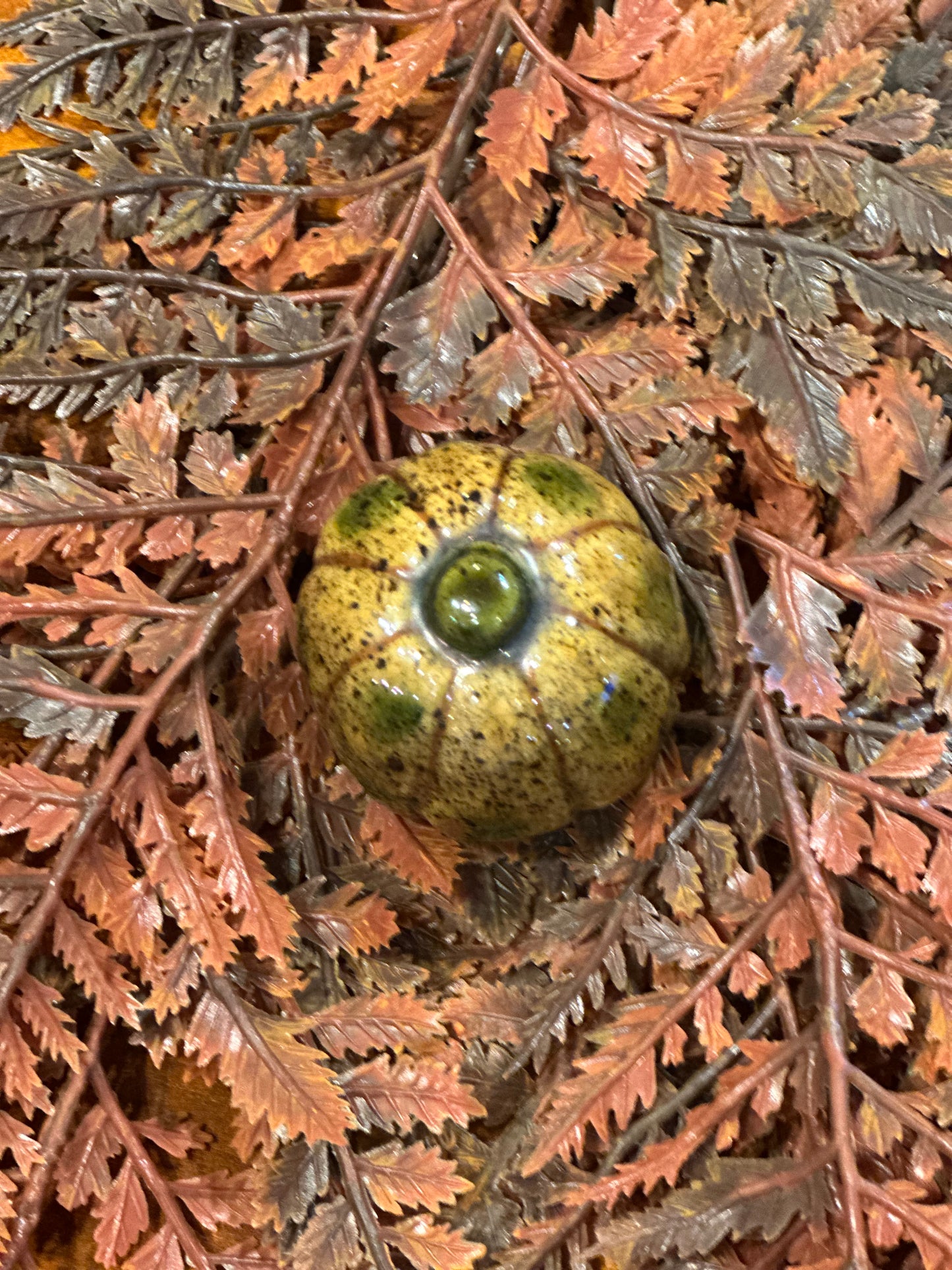 Shooner Pumpkins Fall