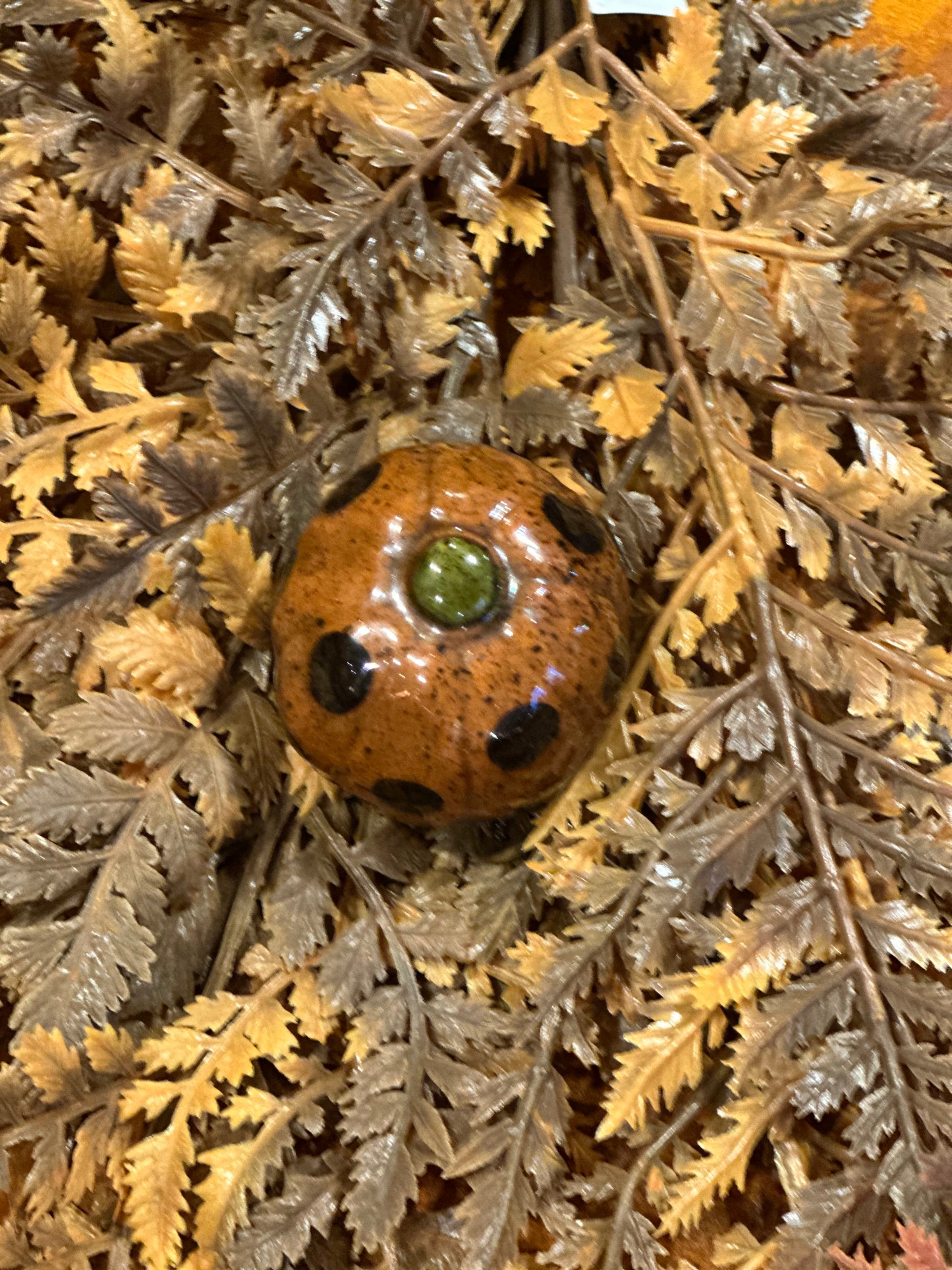 Shooner Pumpkins Fall