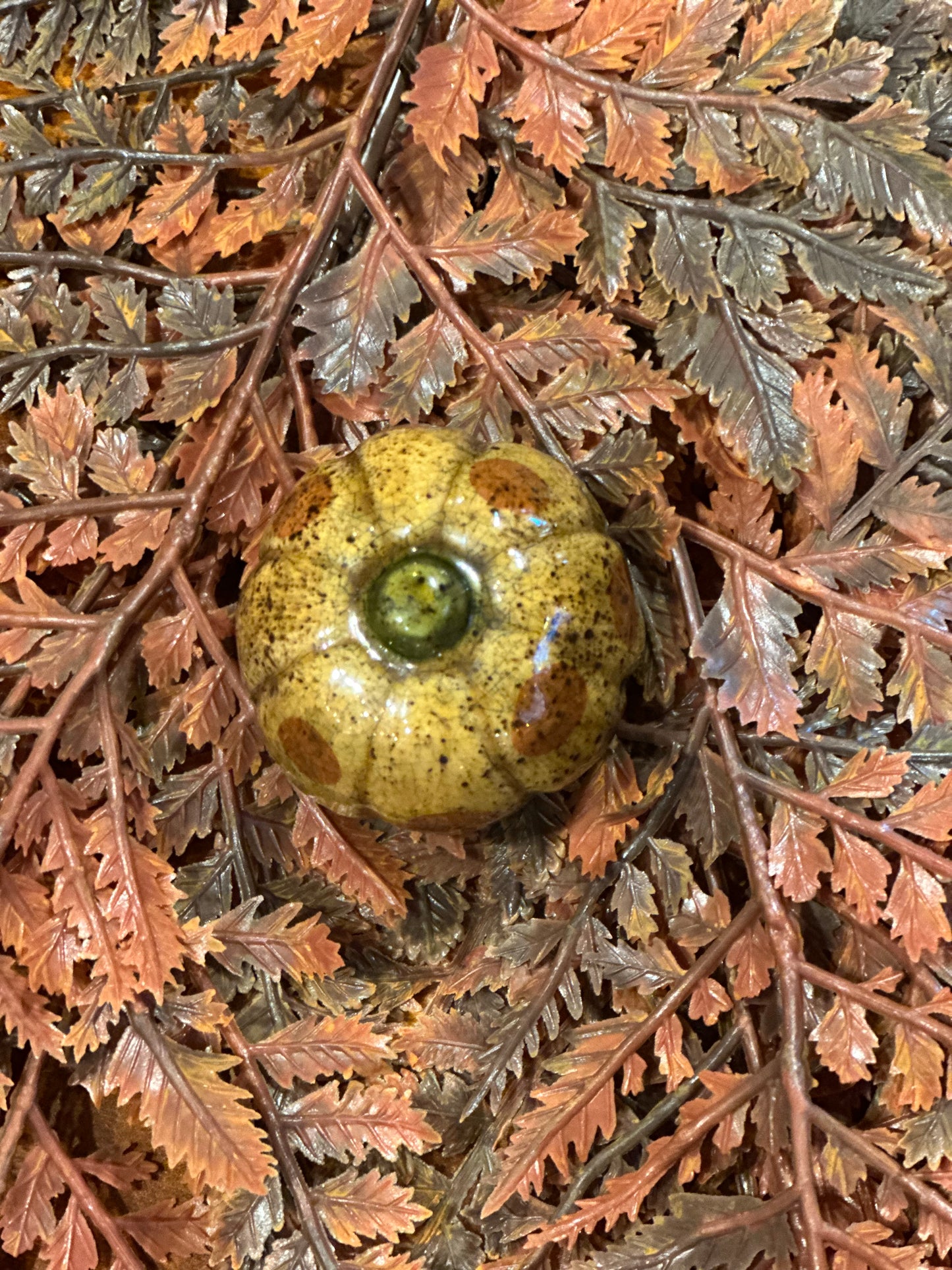 Shooner Pumpkins Fall