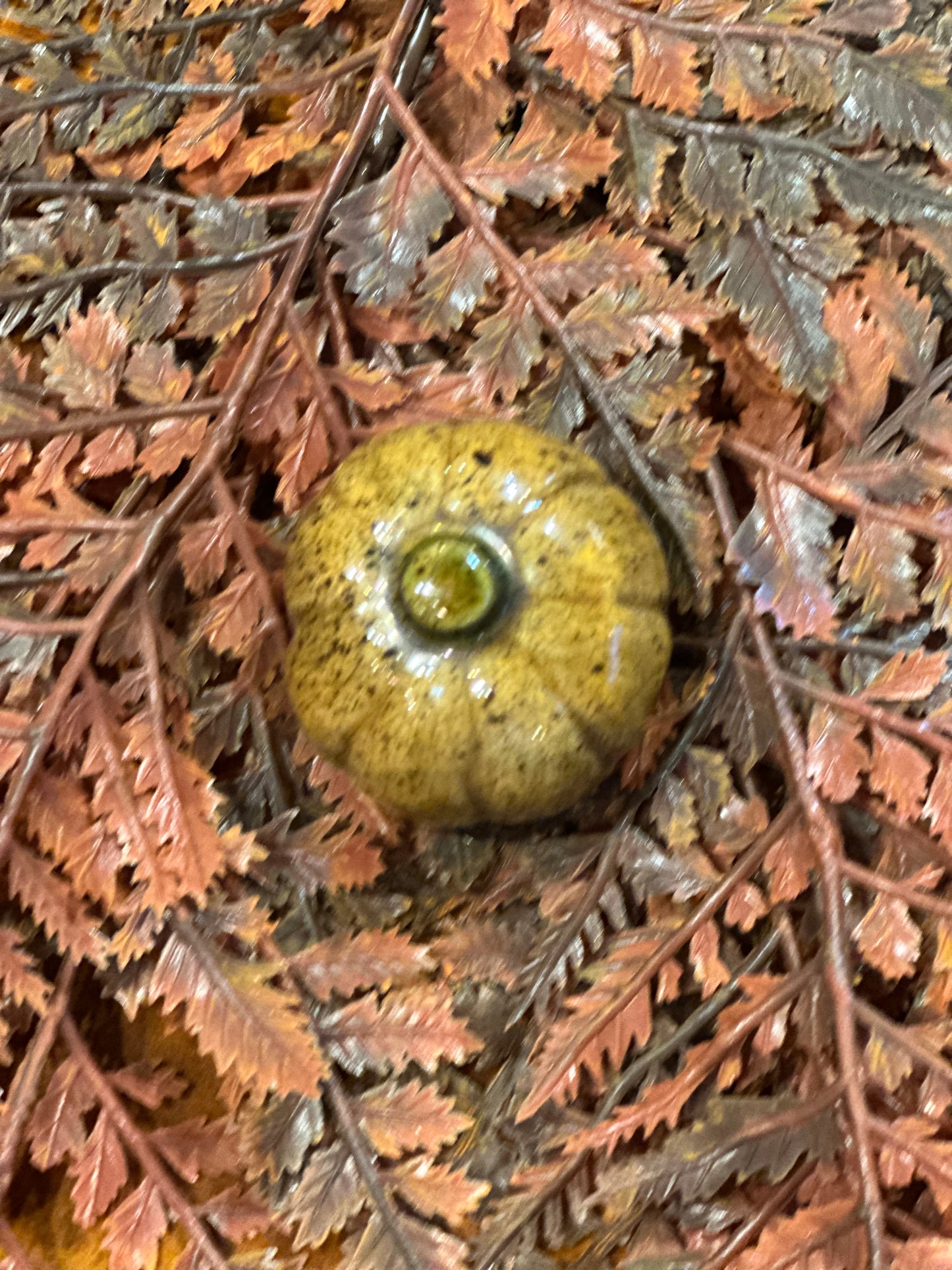Shooner Pumpkins Fall