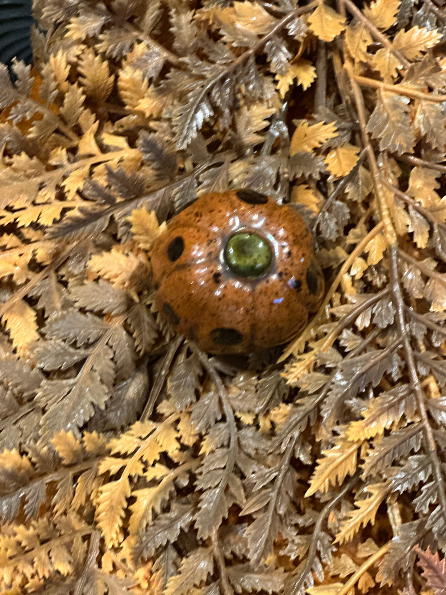 Shooner Pumpkins Fall