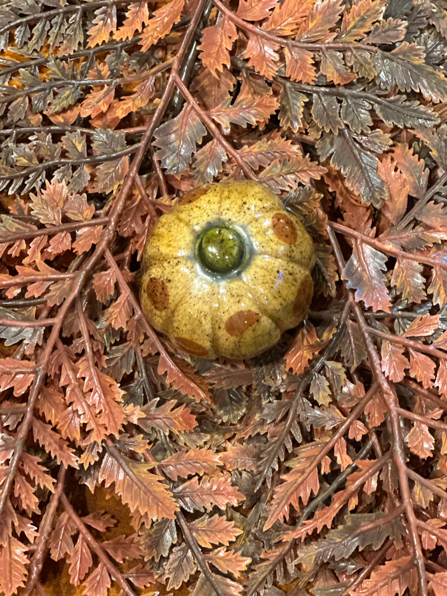 Shooner Pumpkins Fall