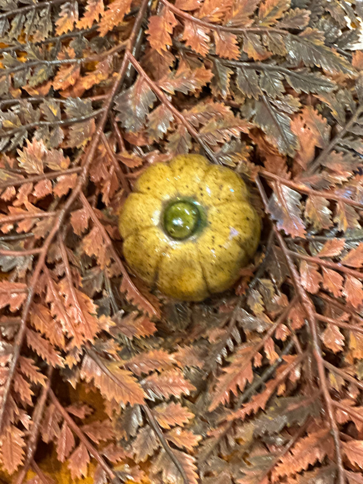 Shooner Pumpkins Fall