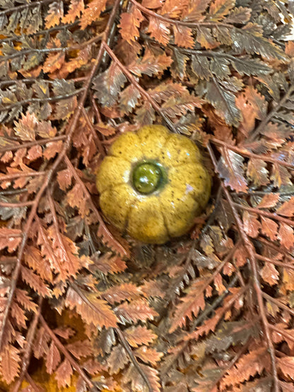 Shooner Pumpkins Fall