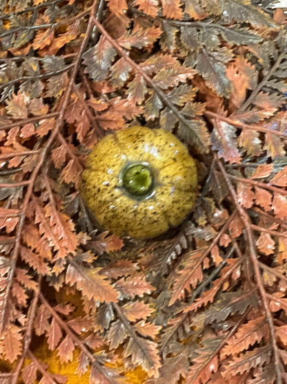 Shooner Pumpkins Fall