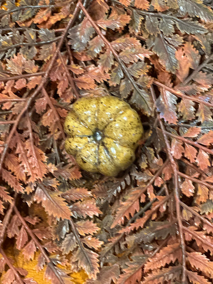 Shooner Pumpkins Fall