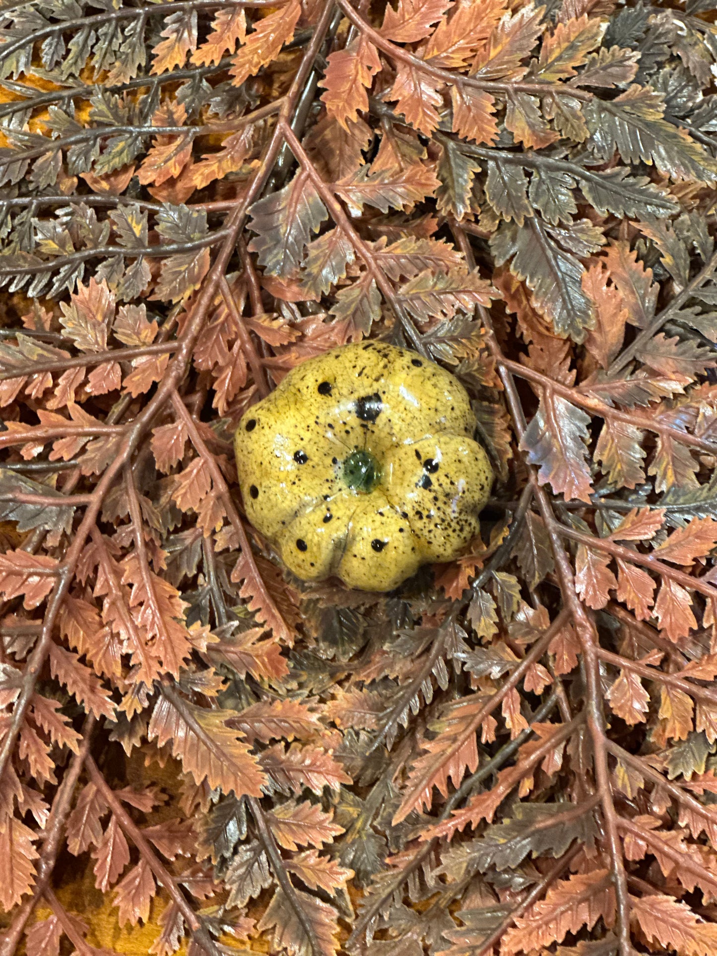 Shooner Pumpkins Fall
