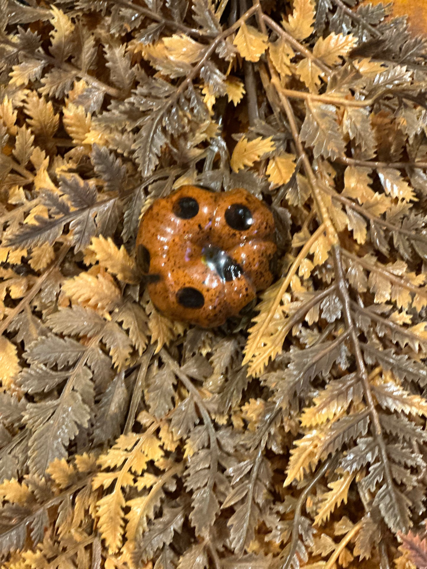 Shooner Pumpkins Fall