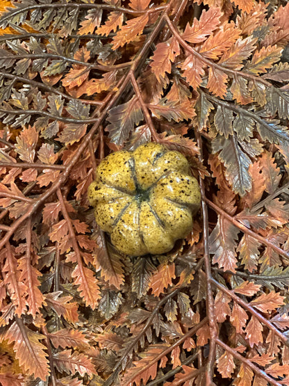 Shooner Pumpkins Fall