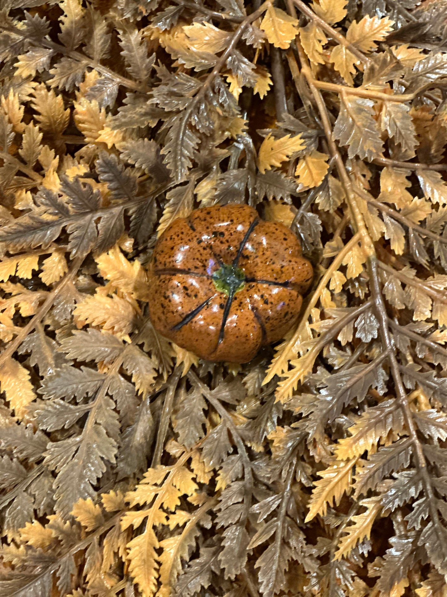 Shooner Pumpkins Fall