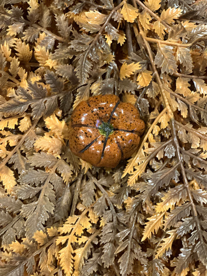 Shooner Pumpkins Fall
