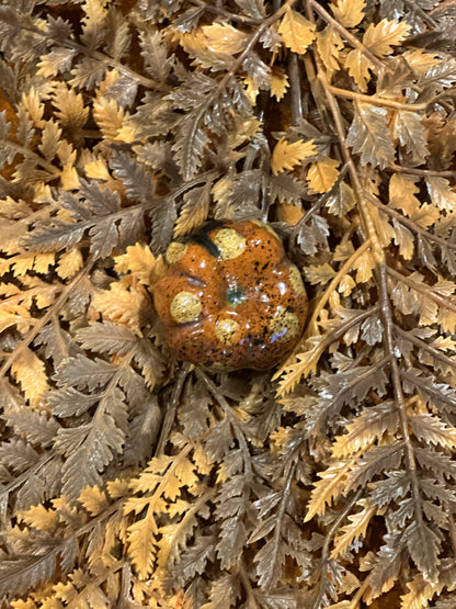 Shooner Pumpkins Fall
