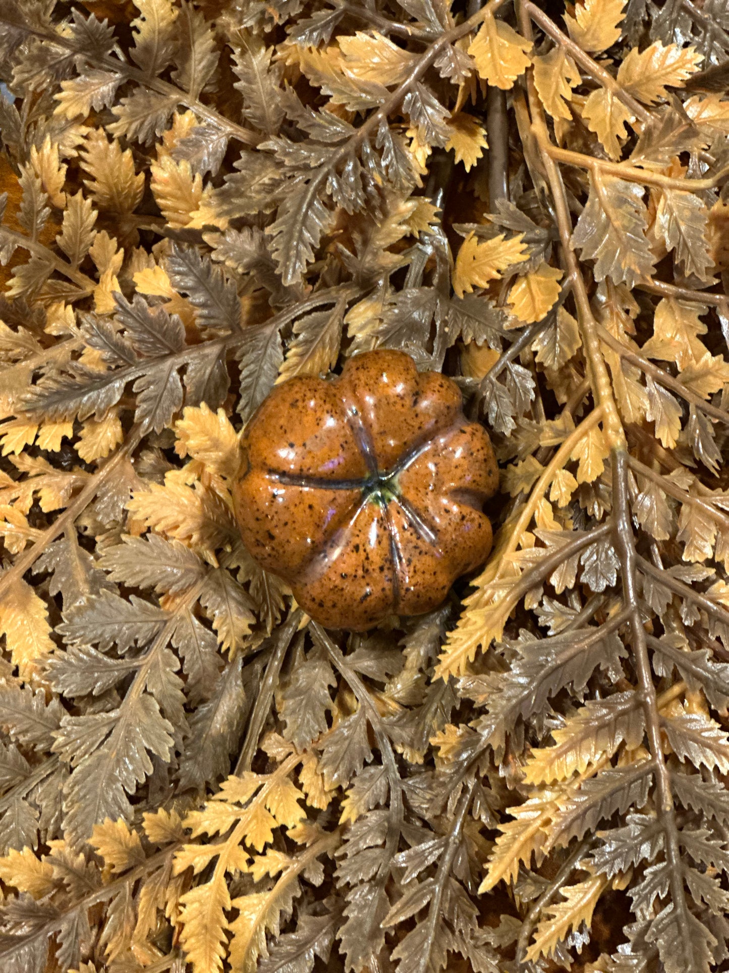 Shooner Pumpkins Fall