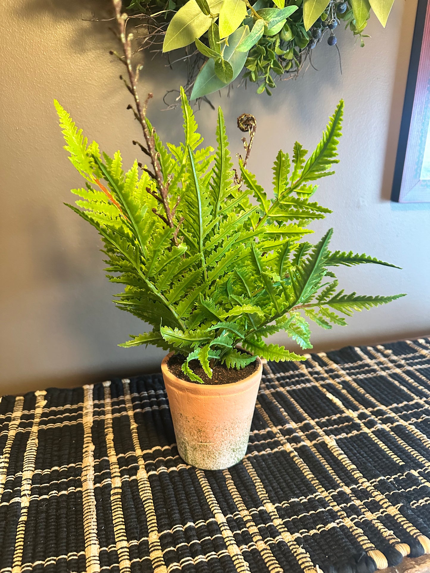 Potted Faux Ferns