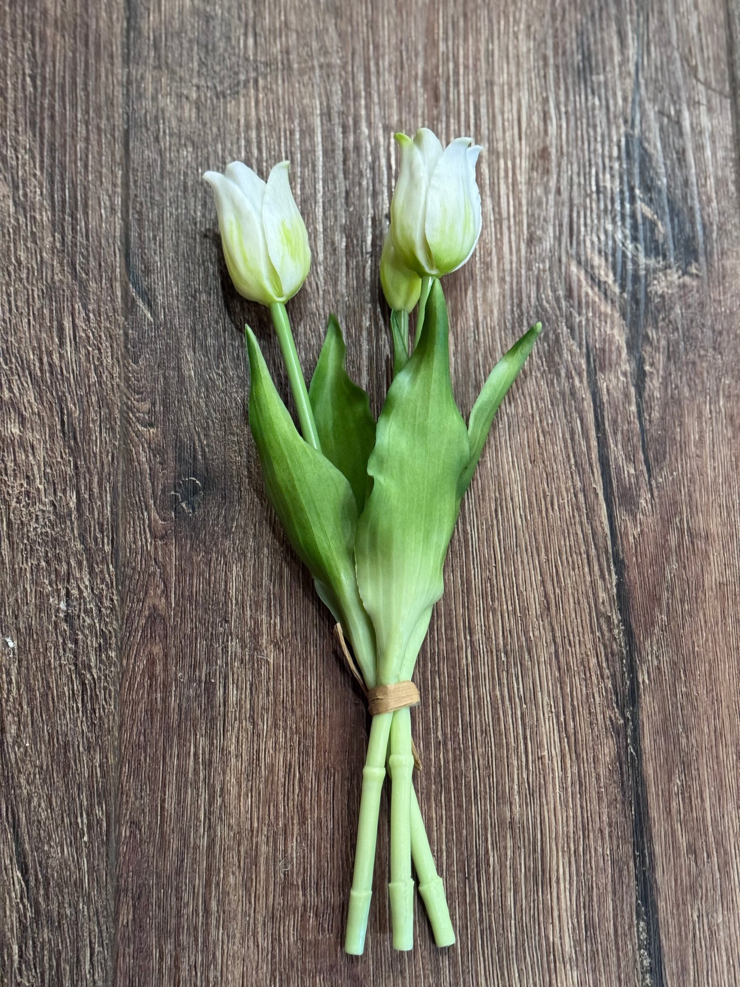 Realistic Tulips