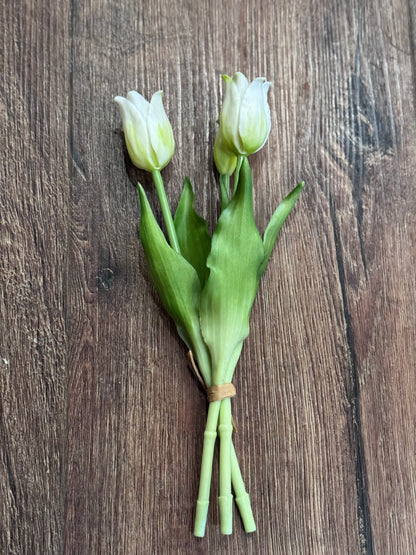 Realistic Tulips