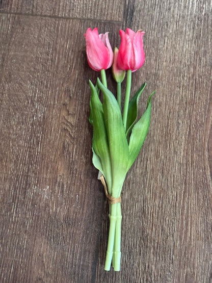 Realistic Tulips