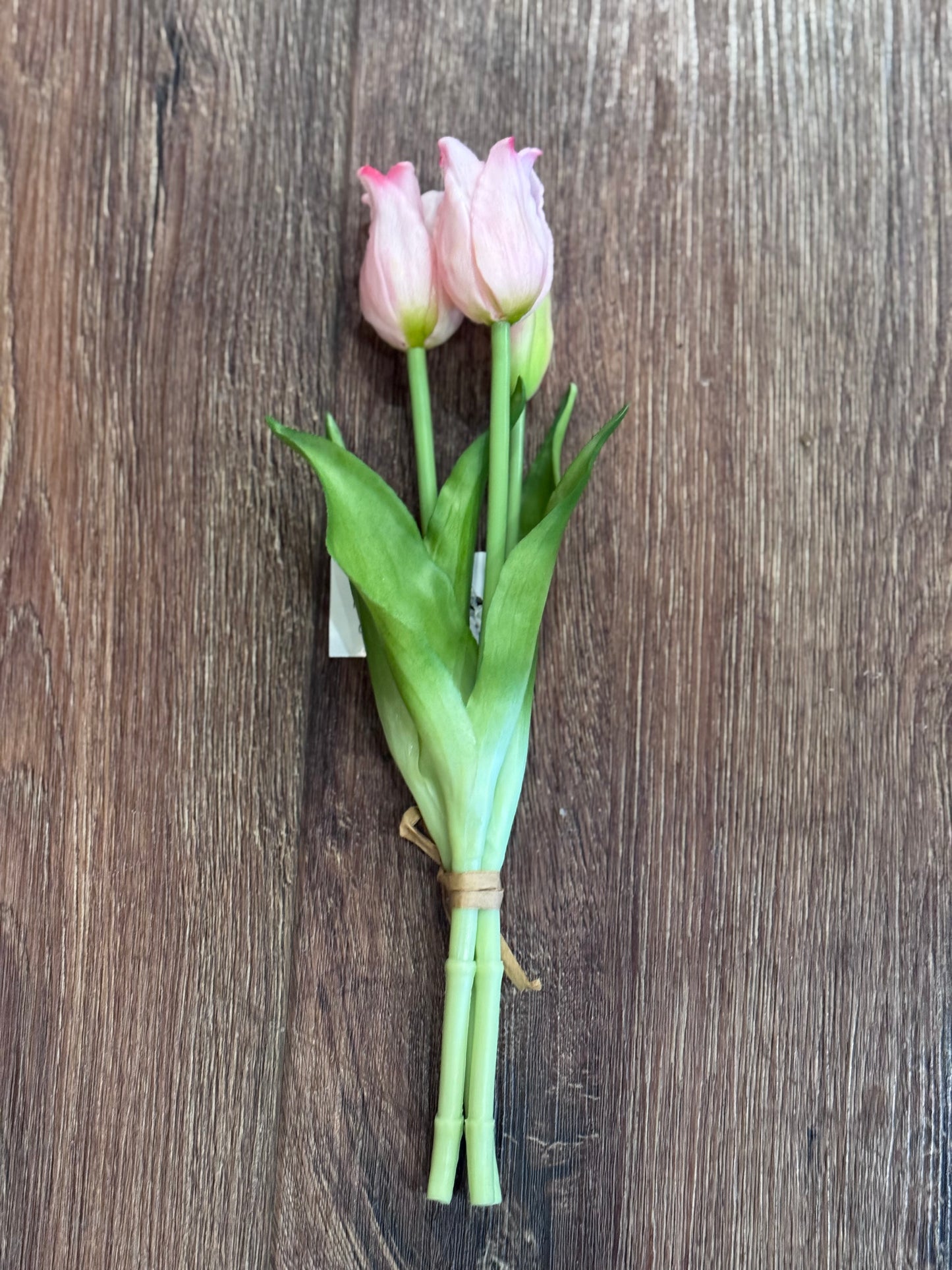 Realistic Tulips