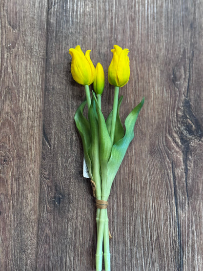 Realistic Tulips