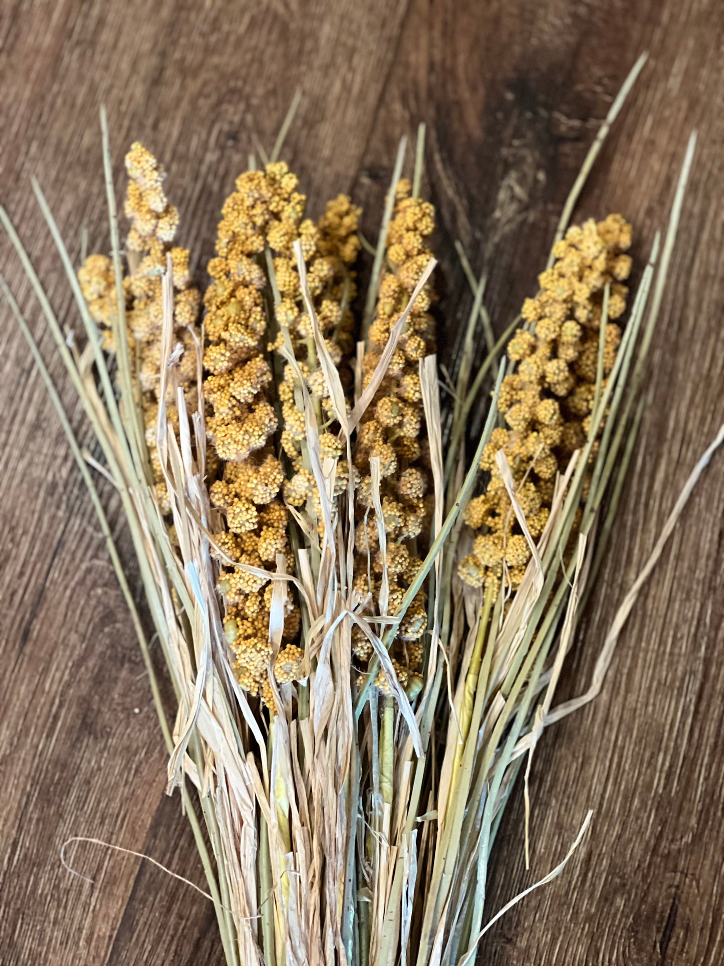 Wheat Bush