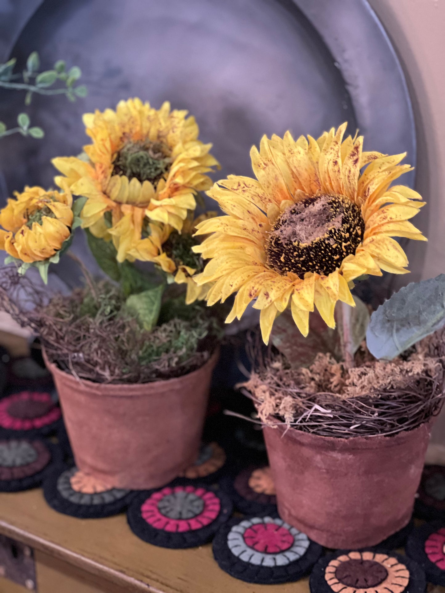 Sunflower in Pot