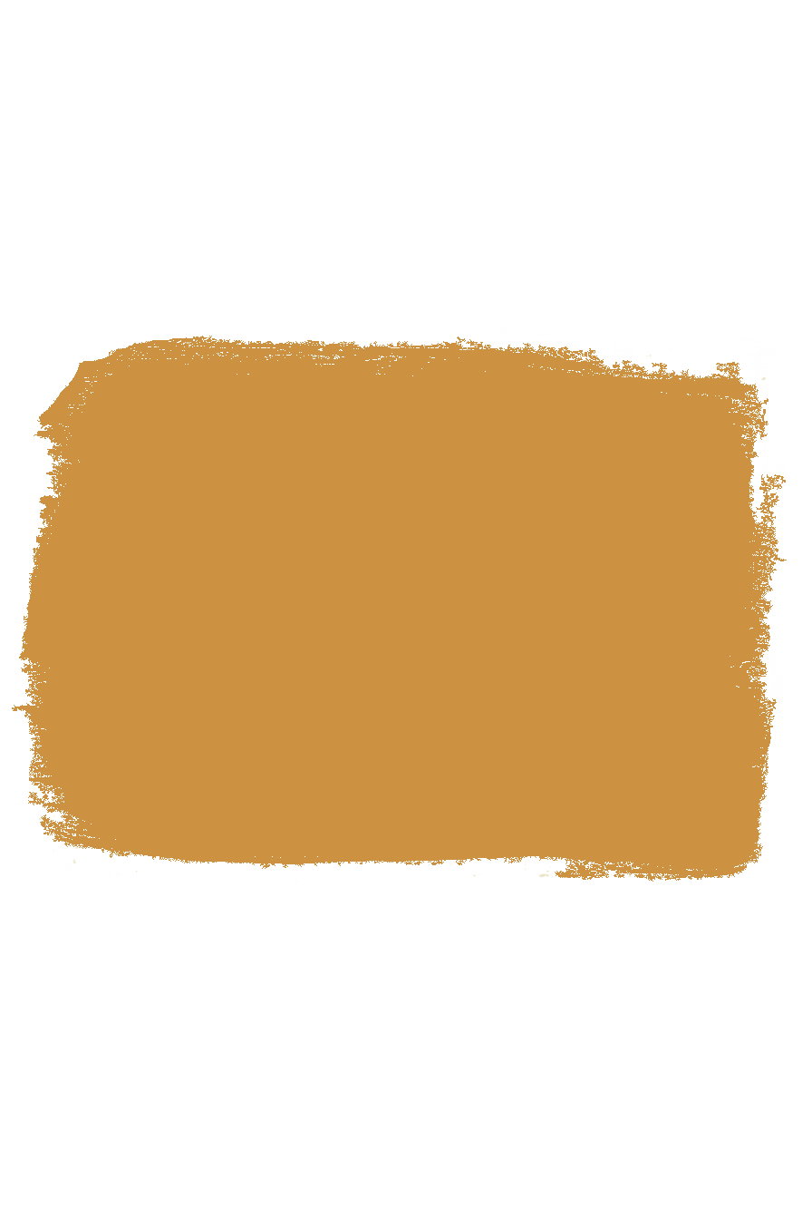 Olde Century Colors - Acrylic Latex Paint - Fenwick Yellow 2031