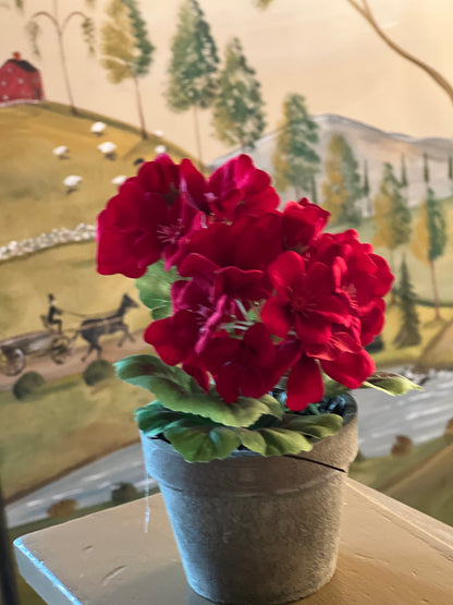 7" POTTED GERANIUMS