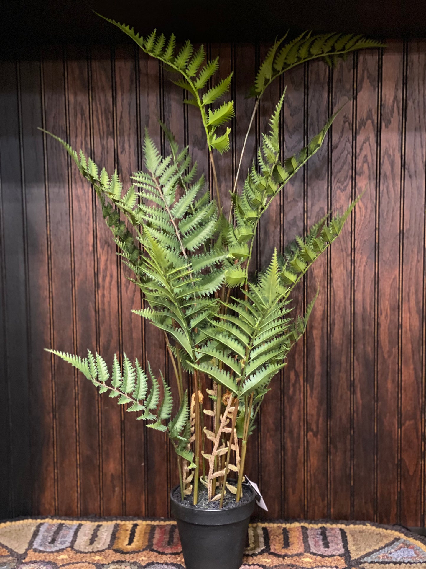 Large Fern in Pot