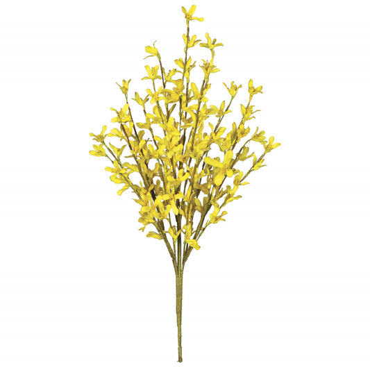 Forsythia Pick